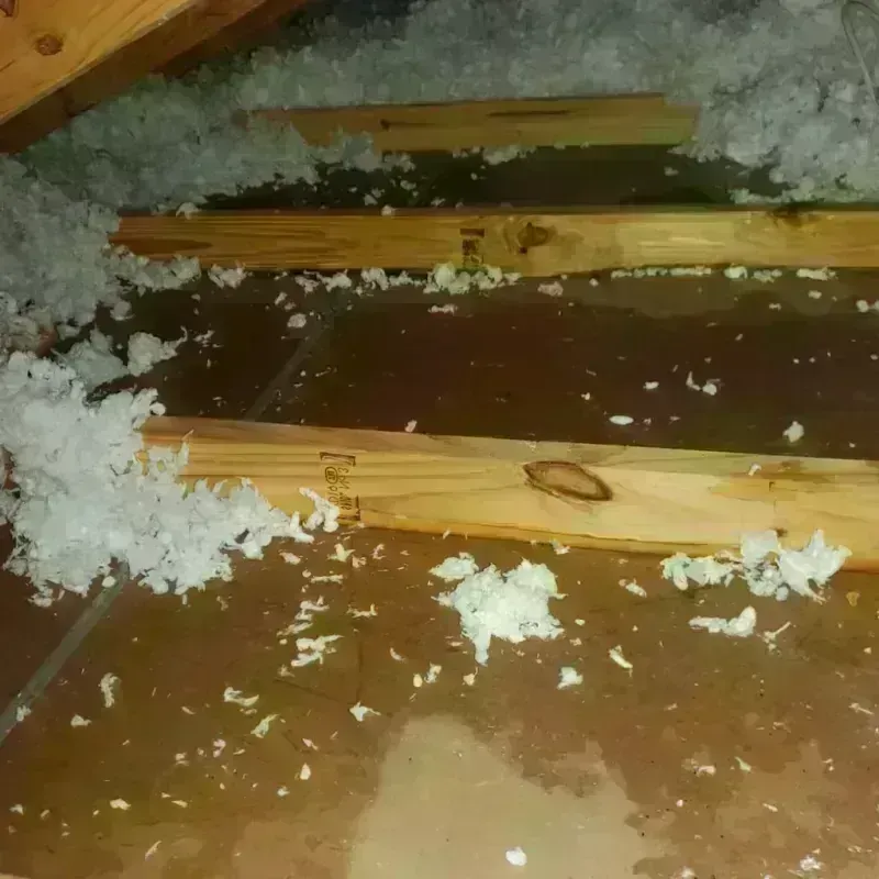 Attic Water Damage in Blue Mound, TX