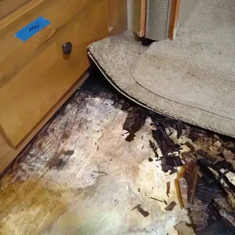 Best Wood Floor Water Damage Service in Blue Mound, TX